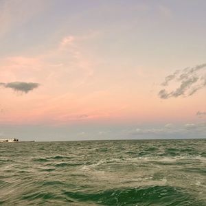 Meet your Posher, Tyler